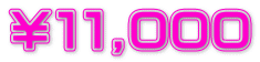 ￥１１,０００