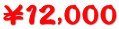¥12,000